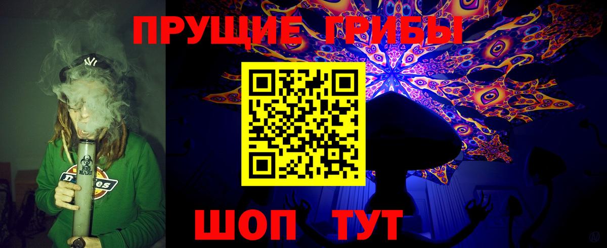 Псилоцибиновые грибы Cubensis Будённовск